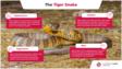 信息图表的老虎蛇