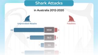 统计图的鲨鱼袭击在澳大利亚2012 - 2020
