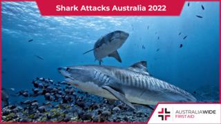 2022年澳大利亚鲨鱼袭击