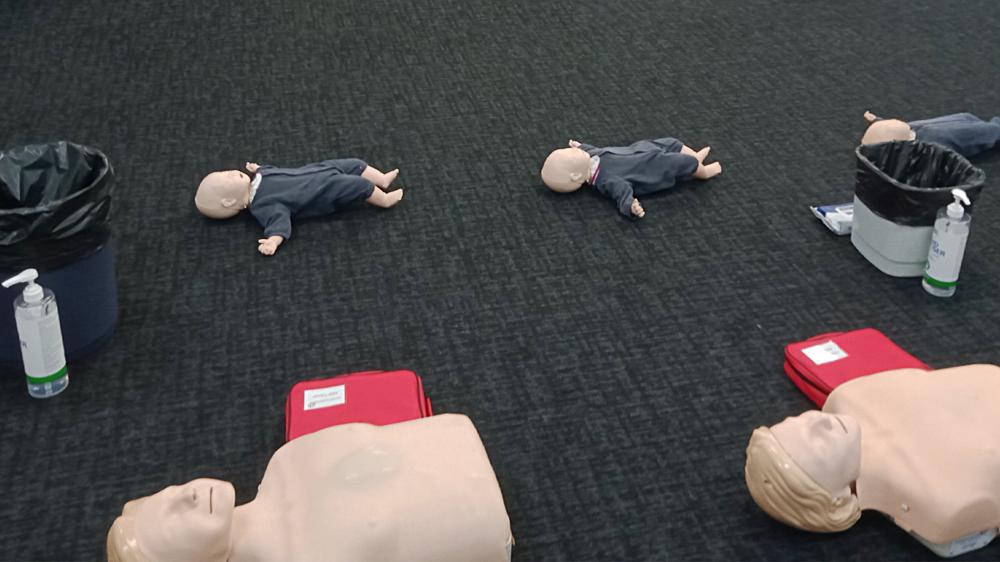 人体模型,准备CPR急救课程培训